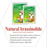 Natural Brassinolide 60% Tc Powder