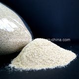 Sodium Alginate Textile Grade in High Viscosity