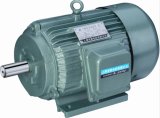Y Series Three-Phase Electric AC Motor with CE Certificated
