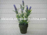 Artificial Plastic Lavender Bonsai (XD13-231)