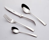 Stainless Steel Cutlery Set (D580)