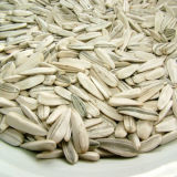 Chinese Sunflower Seeds, Top High Quality