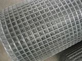 Welded Wire Mesh