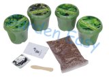 3.5 Inch Biodegradable Garden Planting Pot (904001) 