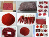 Certified SGS/HACCP/FDA 20, 000-60, 000 Shu Red Chilli Powder