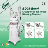 4 Handles Cryolipolysis RF Slimming Equipment for Summer Promotion