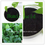 Fertilizers Humic Acid 99%