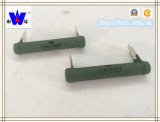 Rx21 Coating Wirewound Resistor with RoHS