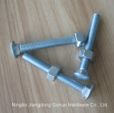 DIN603 Carriage Bolt with Nut