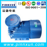 YB3 Explosion Proof Electric Motor