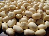 Blanched Peanuts 25/29