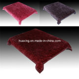 New Design Raschel Blanket/Polyester Blanket/Textile