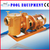 Swimming Pool 3HP Brass Water Pump, Swimming Pool Equipment