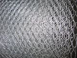 High Quality Stainless Steel Hexagonal Netting