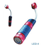 Dry Battery Flexible LED Torch (CC-021)