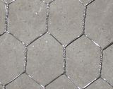 Hexagonal Wire Mesh/Chicken Wire Mesh