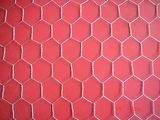 Hexagonal Wire Netting