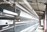 H Type Automatic Chicken Cage for Layer Poultry Farm