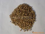 Dried and Quality Coriander Seeds