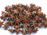 New Crop Exporting Star Aniseed