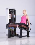 Integrated Gym Trainer Leg Extension Machine