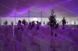Wedding Decorations for Marquee Tent Canopy Tent