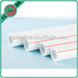 Sanitary PPR Plastic Pipe for Water Supply
