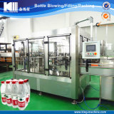 King Machine Automatic Bottling Equipment