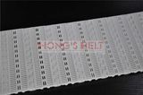 Plastic Conveyor Belt for Food Grade with FDA Certificate (HS-102B)