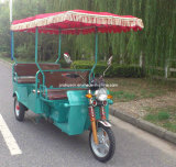 Electric Passenger Tricycle (ETR-01)