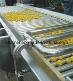 Auto Fruit Sorter