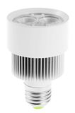 LED Spot Light (R63V-6W)