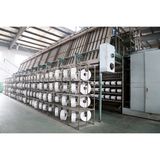 Polyester Raw Yarn