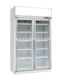Double Door Standard Upright Display Refrigerator