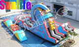 Inflatable Ferris Wheel, Inflatable Roller Coaster, Funcity, Excity Slide