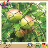 Different Colors Anti Bird Netting, Insect Net for Agriculture