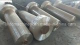 Forging Shaft/Forged Flange Shaft (ELIDD-S112D)