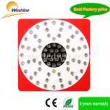 200W (216W) LED Plant & Flower Grow Lights