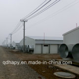 Light Steel Poultry Farm Construction for Chicken House
