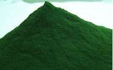 Spirulina Powder