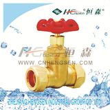 Brass Coppressioned Gate Valve/Gate Valve/Brass Fitting