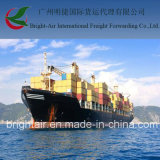 Efficient Shiping Agent From China to Chicama, Peru