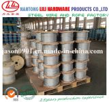 Wire Rope (factory)