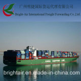 Cheap Sea Freight From Guangzhou China to Le Havre