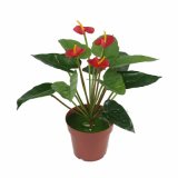 Artificial Single-Bunch 4-Head PU Anthurium, Suitable for Inner/Outdoor