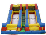 Inflatable Slide Inflatable Bouncy for Sale (FLK)