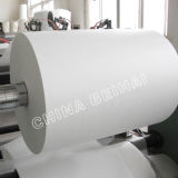 Hot Sale Raw Materials for Making Tissue Papers