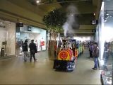 Indoor Electric Tourist Fun Trains (SPL25)