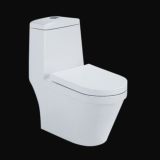 Flush Toilet, Z2060416