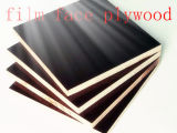 Film Faced Plywood/Ffp/Shuttering Plywood/Construction Plywood/Ffp